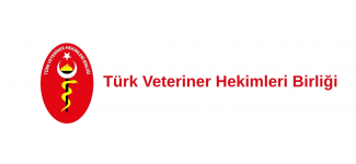 Örnek Kurum #11
